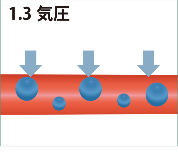 毛細血管の拡大図