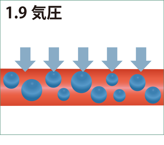 毛細血管の拡大図