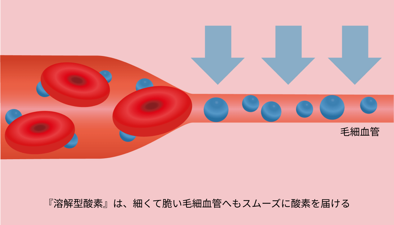 『溶解型酸素』は、細くて脆い毛細血管へもスムーズに酸素を届ける