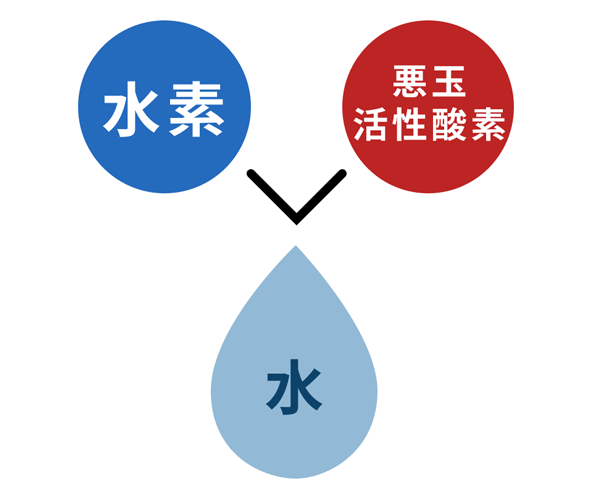 水素は活性酸素と結合しH2Oになって体外に排出